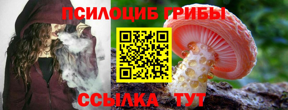 Гудермес  Псилоцибиновые грибы ЛСД  Вход с VPN 
